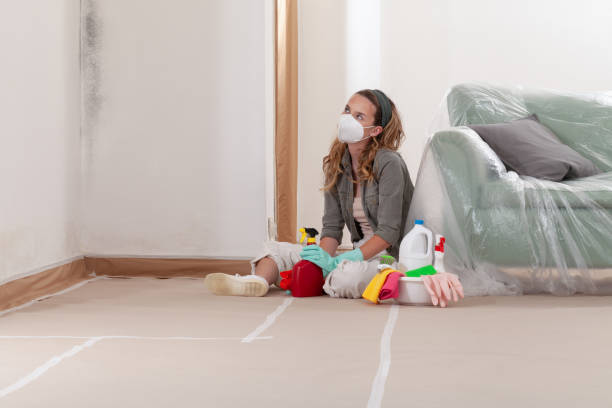 Reliable Commercial Mold Remediation contractor in Decatur, IL by WQB Mold Removal